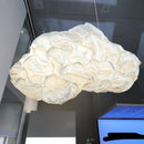 Belux mamacloud