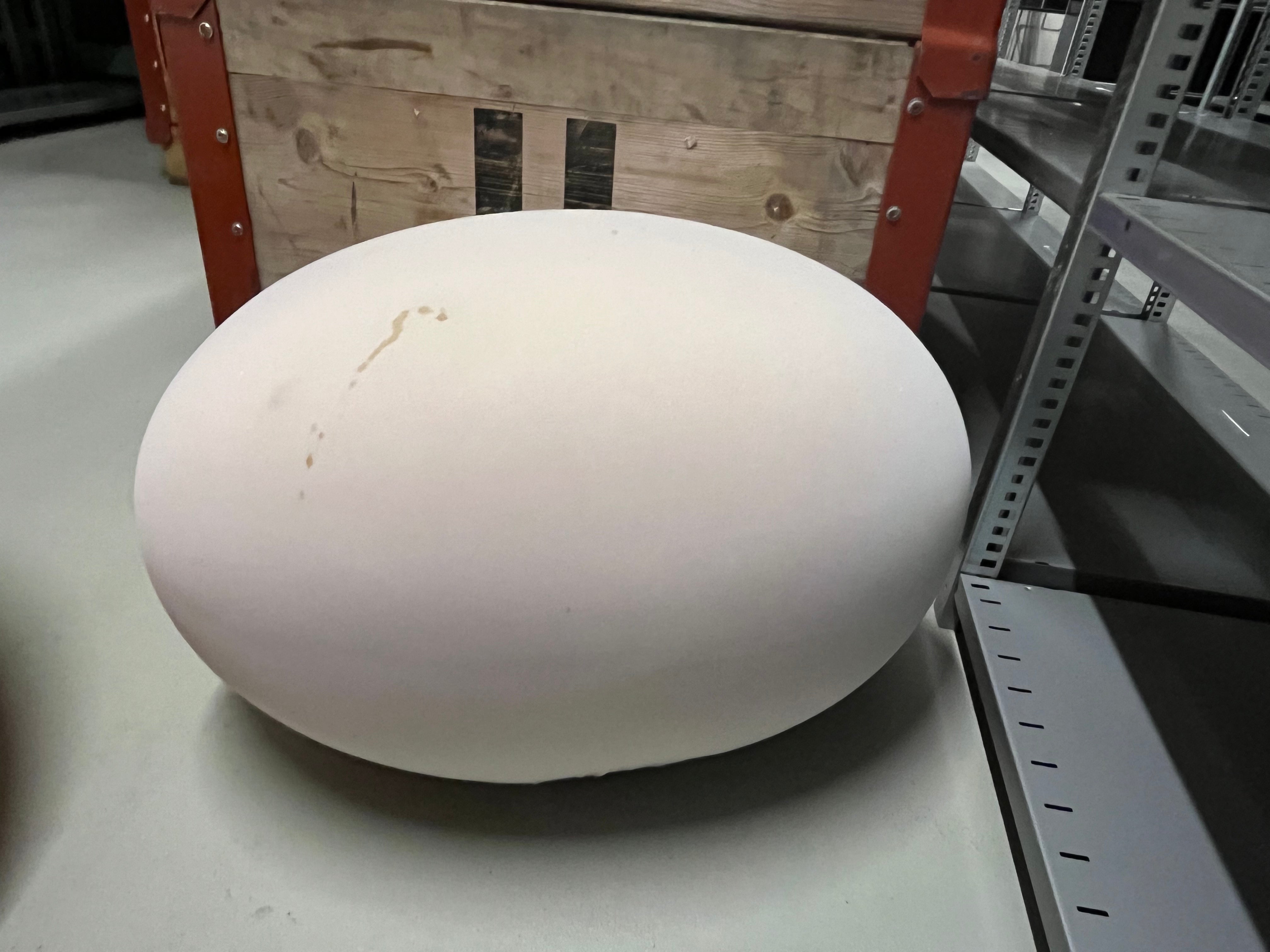 BaleriItalia TATO Farbige Sitzbälle SDI004