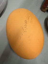 BaleriItalia TATO Farbige Sitzbälle SDI004