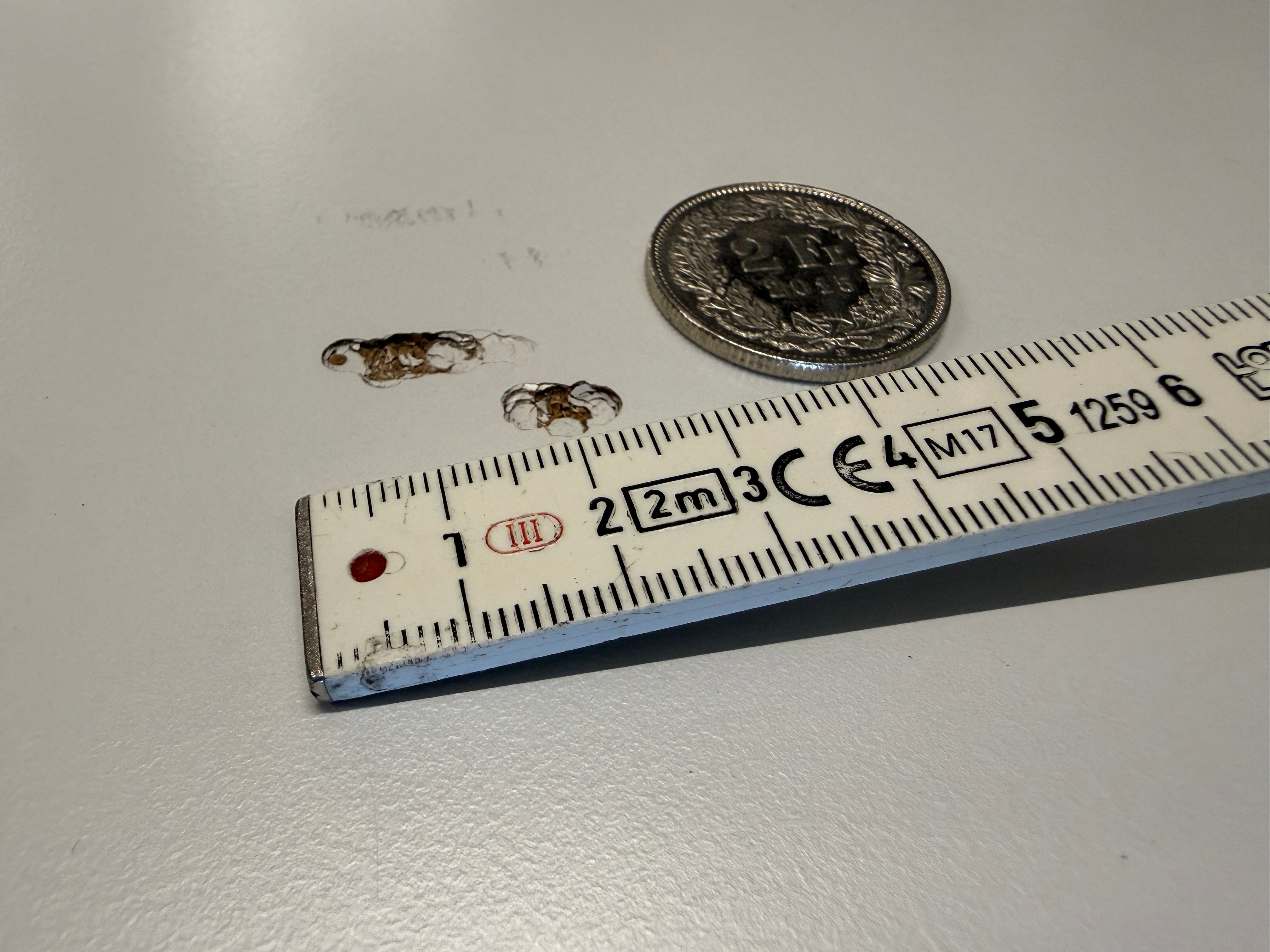 Dietiker Teos Klapptisch 210x60cm